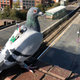Illustration for article titled Pigeons With Tiny Backpacks Are Gathering Climate Data Nowem/emem/em